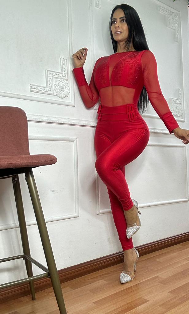 Elegant front mesh Jumpsuit